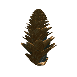 Pinecone